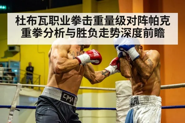 杜布瓦职业拳击重量级对阵帕克重拳分析与胜负走势深度前瞻